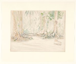 Visage entre les arbres d