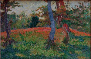 Clairière dans les bois