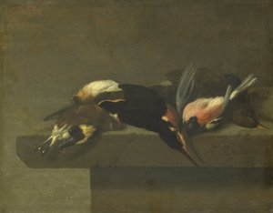 Oiseaux morts - Jan Vonck