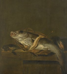 Nature morte avec un merlu et un grondin