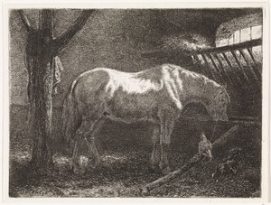Cheval dans une étable