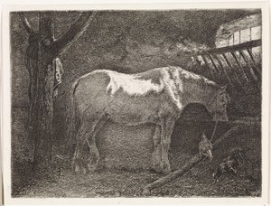 Cheval dans l