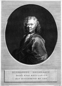 Herman Boerhaave, gravé par Jacobus Houbraken - Jan Wandelaar