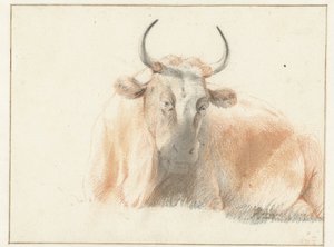 Vache couchée