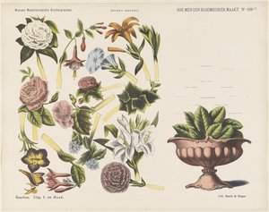Comment faire un bouquet de fleurs (Nouvelles estampes néerlandaises pour enfants) - Jan de Haan