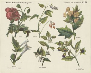 Plantes vénéneuses, Nouvelles gravures néerlandaises pour enfants (titre de la série sur l