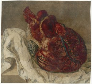 Impressions du cerveau et du cœur - Jan l