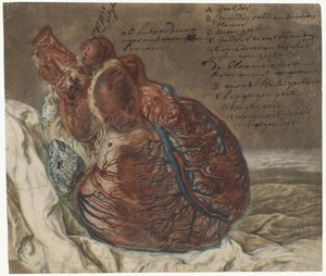 Impressions du cerveau et du cœur - Jan l