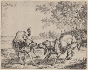 La viande disputée