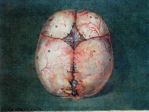 Le cerveau, de 