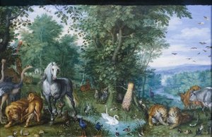 Le jardin d