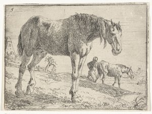 Cheval debout (Landschappen met paarden) - Jan van Aken
