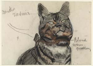Chat, avec des annotations de couleur - Jan van Essen