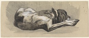 Chien endormi, vers la droite - Jan van Essen