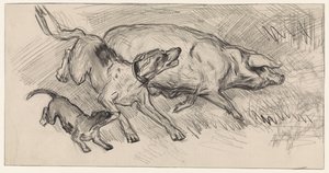 Deux chiens chassant un cochon - Jan van Essen
