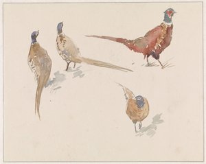 Quatre faisans - Jan van Essen