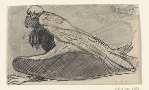 Vautour assis