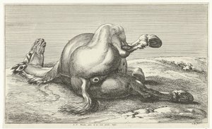 Cheval mort (Gesneuvelde paarden) - Jan van Huchtenburg
