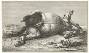 Cheval mort couché sur le côté gauche - Jan van Huchtenburg