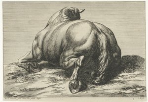 Cheval mort vu de dos - Jan van Huchtenburg