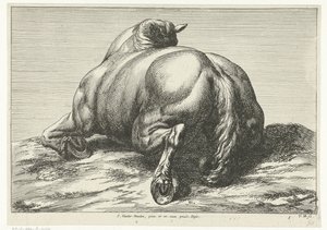 Cheval mort vu de dos (Gesneuvelde paarden) - Jan van Huchtenburg