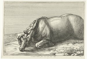 Cheval mort vu de côté (Chevaux morts) - Jan van Huchtenburg