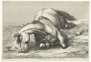 Cheval mort couché sur le côté droit - Jan van Huchtenburg