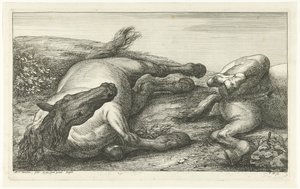 Deux chevaux morts dont le gauche vu de face (Chevaux morts) - Jan van Huchtenburg