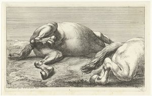 Deux chevaux morts - Jan van Huchtenburg