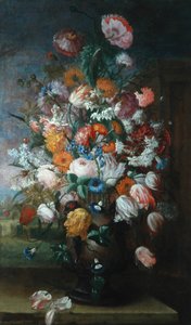 Fleurs, Études avec des Iris, 1682 - Jan van Huysum