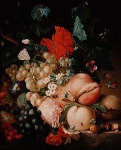 Fleurs et fruits mélangés avec des insectes sur un socle en marbre - Jan van Huysum