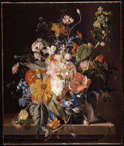Coquelicots, roses trémières, gloire du matin, viola, marguerites, pois de senteur, soucis et autres fleurs dans un vase avec un escargot sur une corniche
