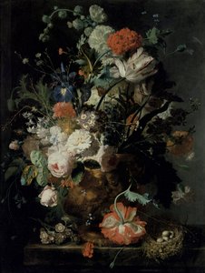 Image inconnue - Jan van Huysum