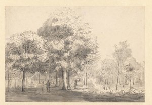 Vue du Haarlemmerhout, Haarlem - Jan van Kessel (attributed to)
