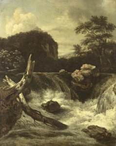 Une cascade - Jan van  Kessel