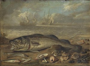 Poissons et paysages marins - Jan van Kessel the Elder