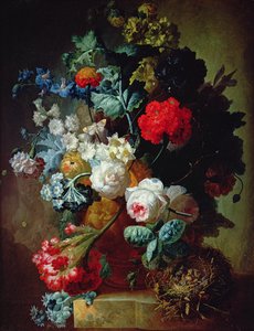 Image inconnue - Jan van Os