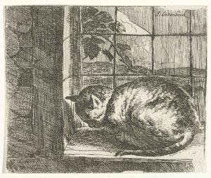 Chat sur le rebord de la fenêtre - Jan van Ossenbeeck