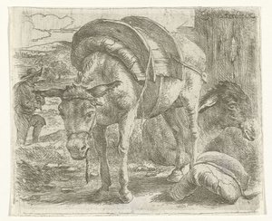 Âne de bât
