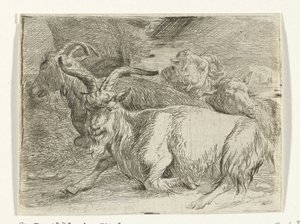 Deux chèvres et deux moutons - Jan van Ossenbeeck