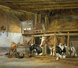 Vaches dans une étable