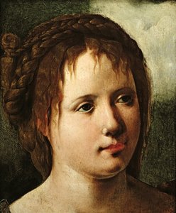 Tête de fille, 1530-35