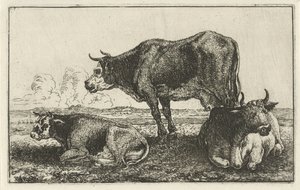 Trois vaches Animaux (titre de la série) Zoographiam (titre de la série) - Jan van den Hecke
