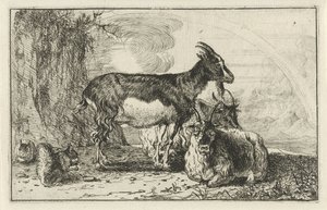 Chèvres - Jan van den Hecke