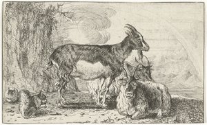 Chèvres - Jan van den Hecke