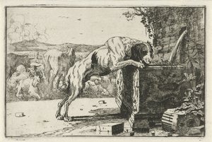 Chien près d
