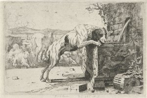 Chien près d