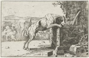 Chien près d
