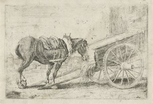 Cheval près d