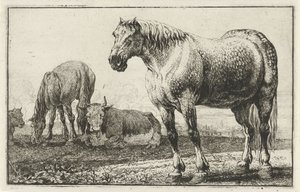Chevaux et vaches (Dieren, Zoographiam) - Jan van den Hecke